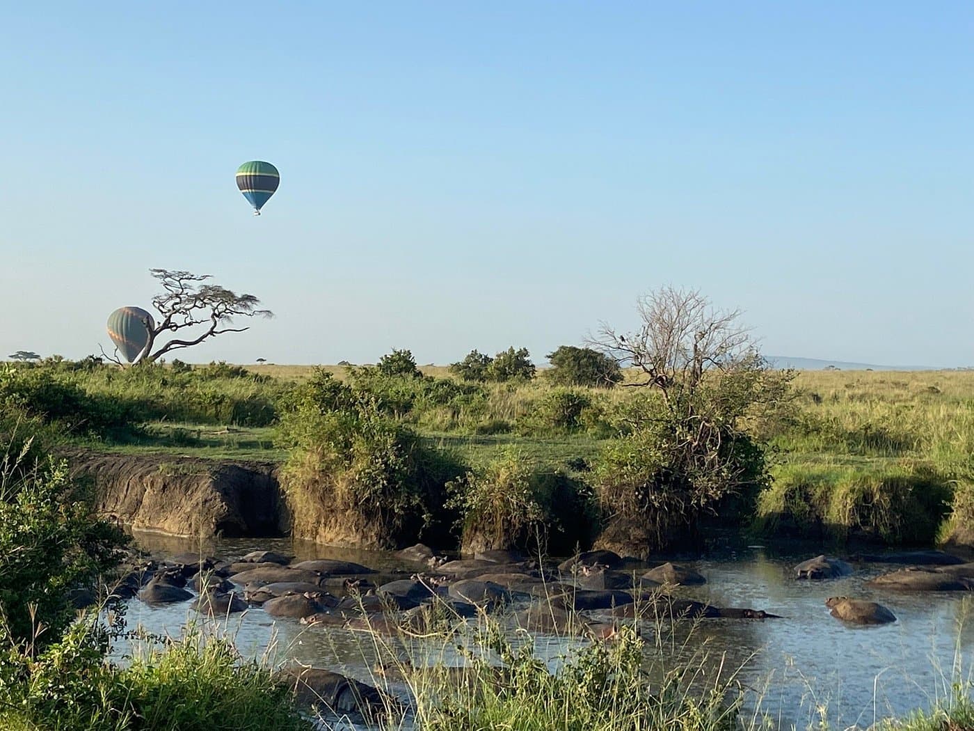 Expert Tips on Unforgettable Safari from Masai Mara to Serengeti and Ngorongoro