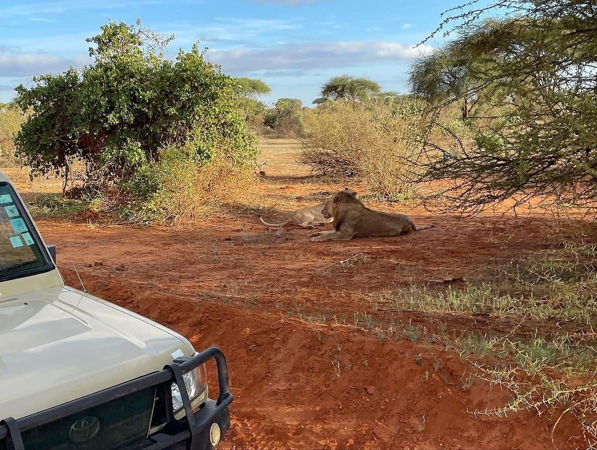 Which part of Kenya is best for safari?