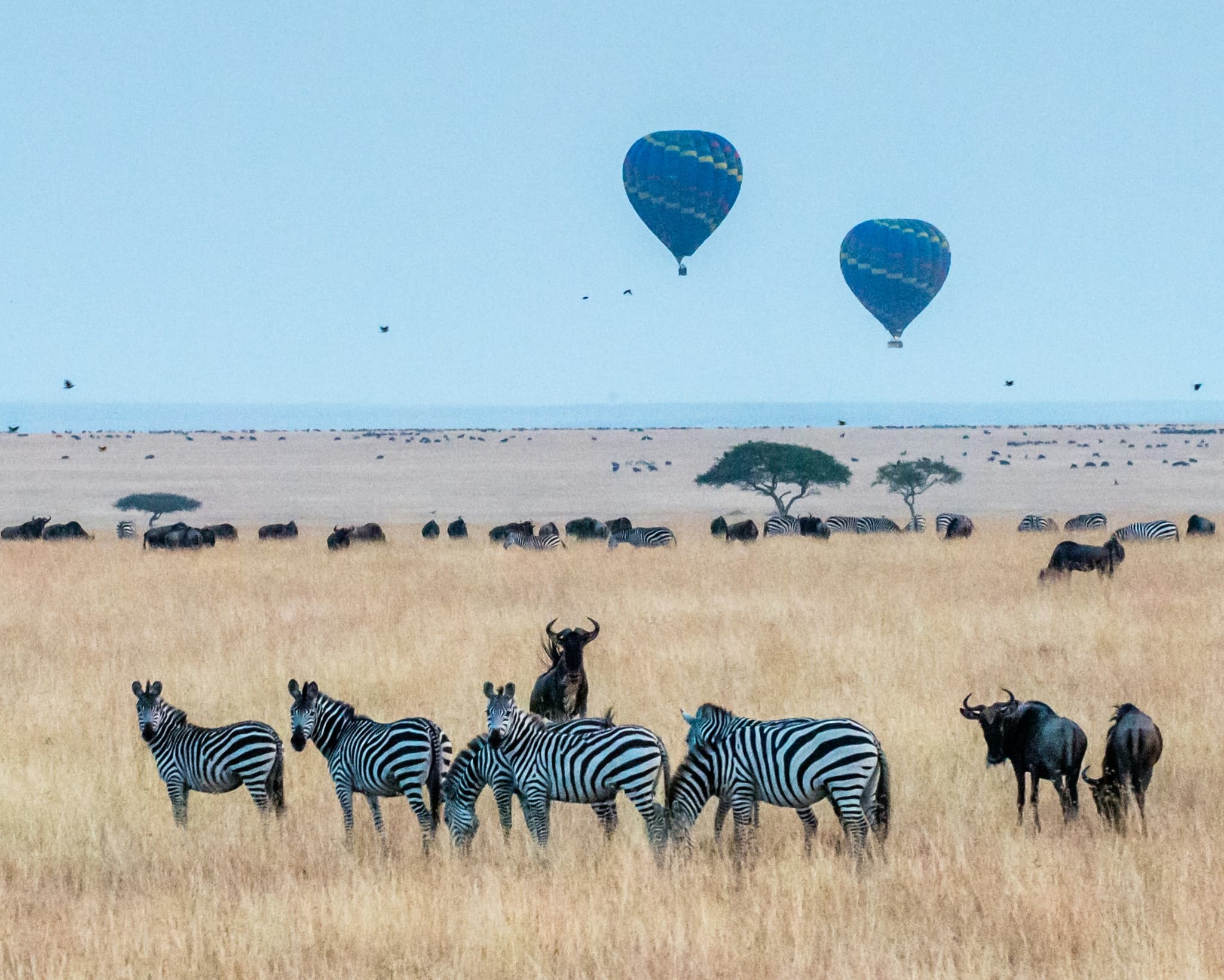Kenya